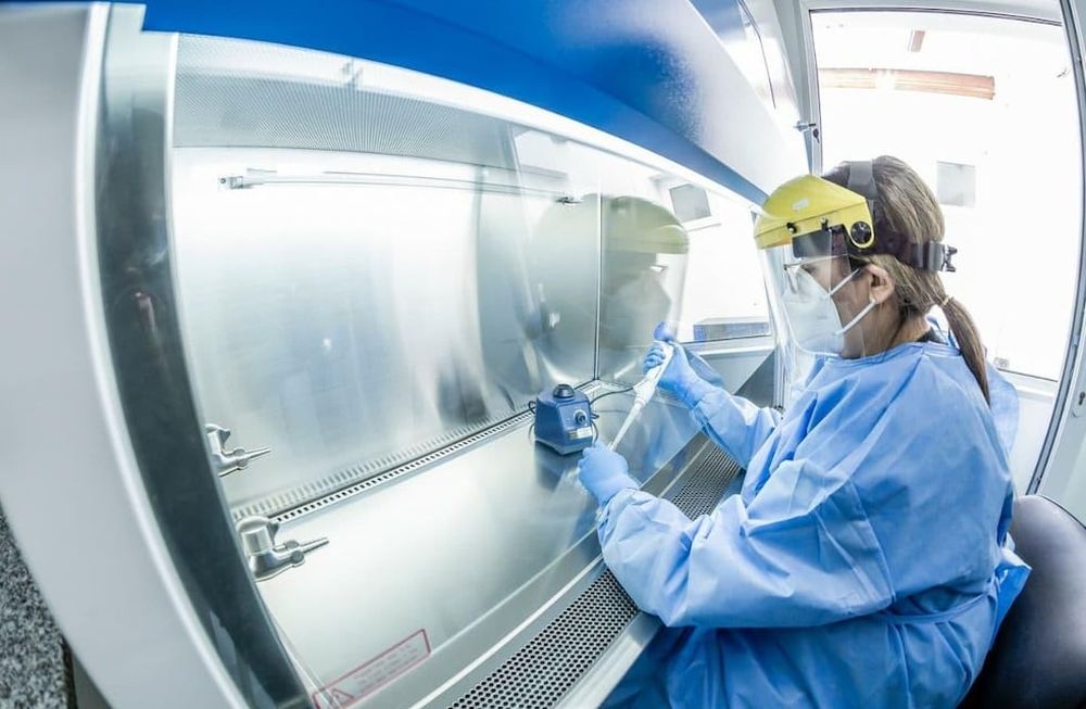 Coronavirus Argentina: confirmaron 7.671 nuevos casos y 242 muertes en la últimas 24 horas