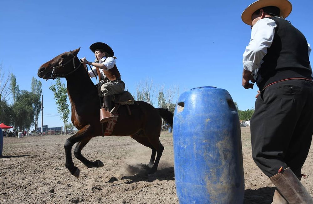 Los integrantes de la comisión acordaron solicitar a la comisión específica de derecho animal del Colegio de Abogados. Foto José Gutiérrez