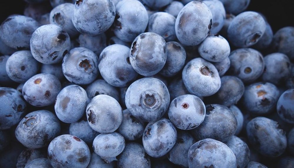 Por su alto contenido de antocianinas, los arándanos se destacan y ofrecen un efecto protector contra la diabetes tipo 2 y las enfermedades cardiovasculares