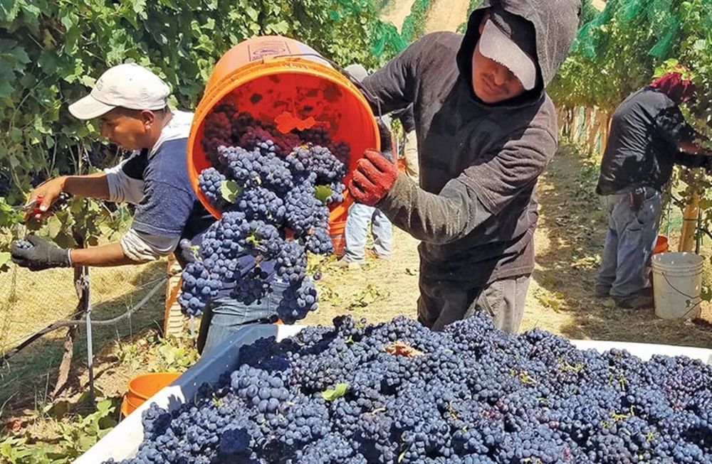 Los empleados vitivinícolas inician mañana un paro por 48 horas