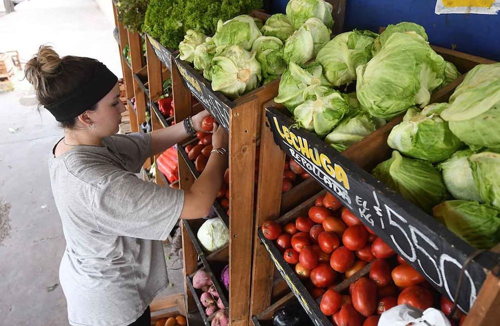 El rubro alimentos y bebidas no alcohólicas subió 10,1% en abril, muchas más que la inflación promedio de 8,4%. Foto: José Gutierrez/ Los Andes
