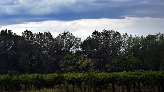 Esta semana se esperan tormentas aisladas un día, pero buenas condiciones para el resto de las jornadas. Foto: Orlando Pelichotti / Los Andes