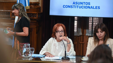 El Senado dictaminó hoy favorablemente el proyecto que propone&nbsp;la suspensión de las PASO.