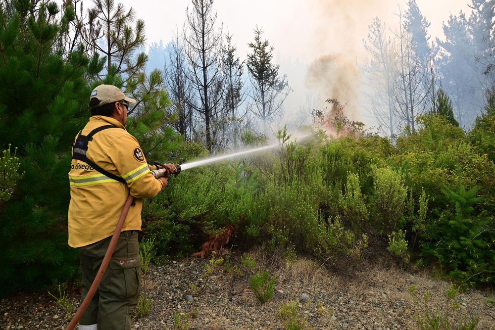 En llamas. Uno de los últimos incendios registrados en el Parque Nacional Los Alerces, en la provincia de Chubut. 