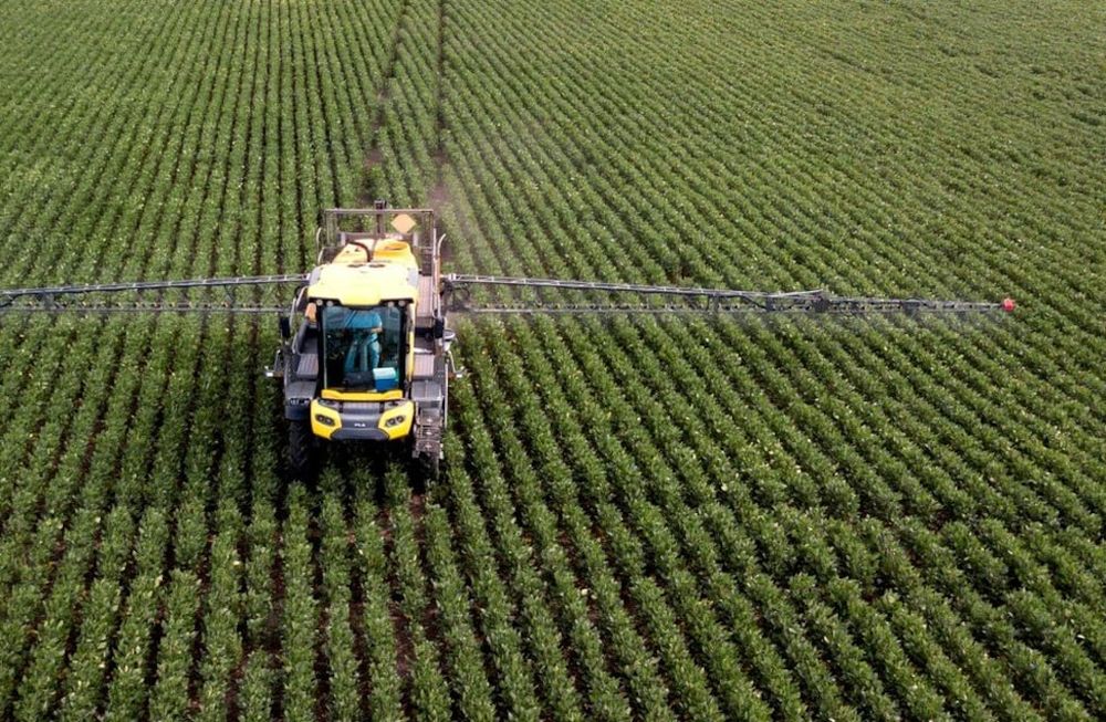 Empresas de agroquímicos podrían cerrar si el Banco Central no libera restricciones