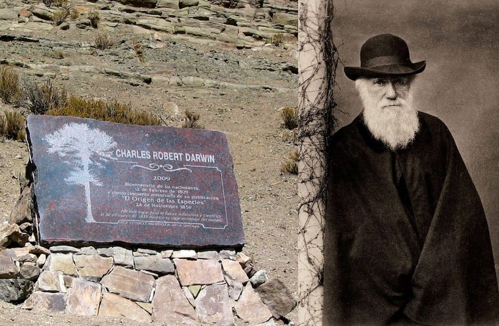 En Los Paramillos de Uspallata se erige el manumento al paso de Darwin por Mendoza y su valioso aporte.