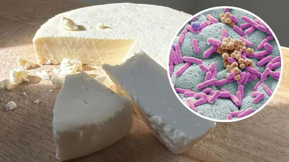 La peligrosa enfermedad detectada en Argentina por consumir queso