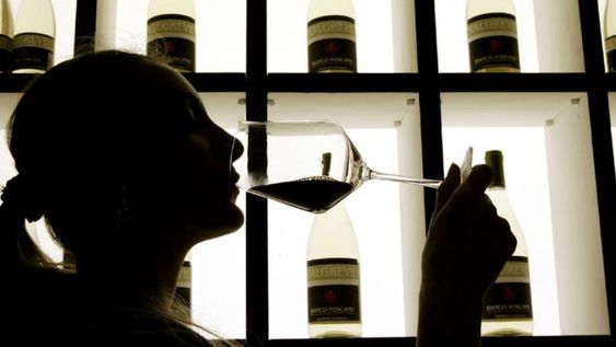 Tu futuro en la industria del vino comienza hoy: carreras con salida laboral asegurada