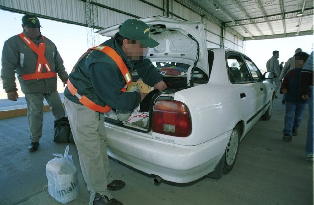 Atención viajeros: qué frutas y hortalizas son portadoras de plagas y no pueden ingresarse a Mendoza