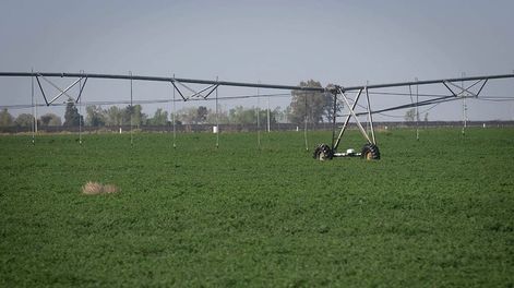El combate activo de heladas con agua gana popularidad por su eficiencia, pero entra en discusión por la falta del recurso hídrico. / Foto: Ignacio Blanco / Los Andes