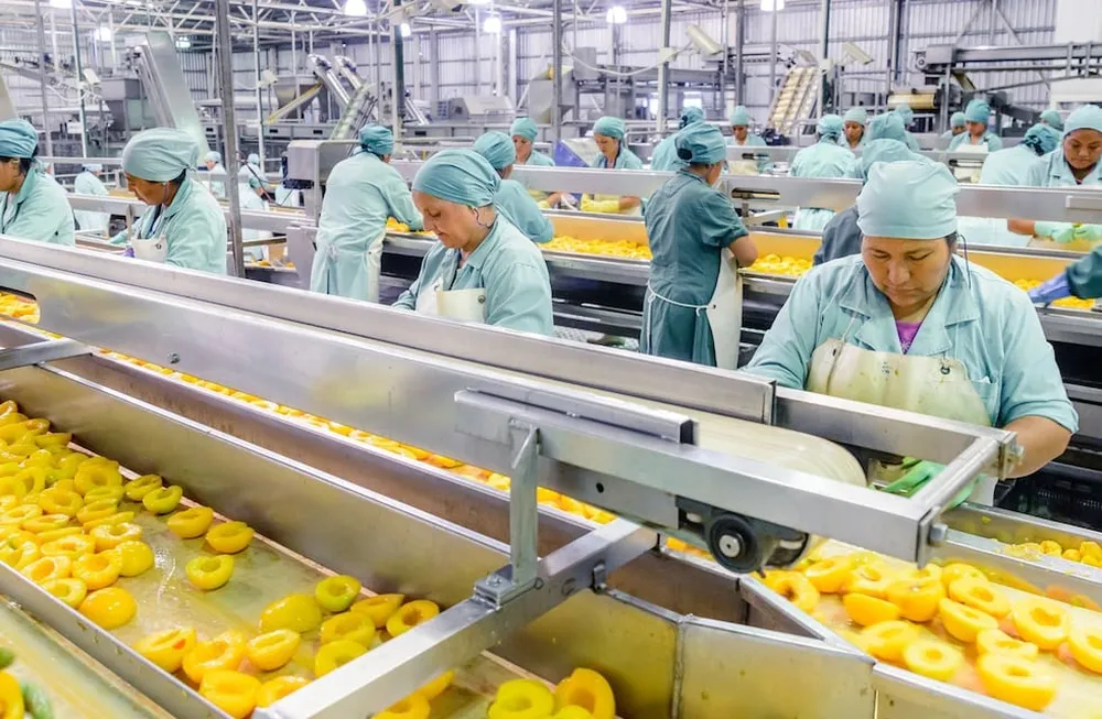 agroindustria conservas durazno