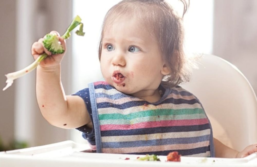 Bebés: ¿qué alimentos se pueden dar y cómo ofrecerlos?