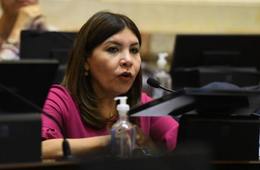 Sandra Mendoza, senadora tucumana del Frente de Todos.