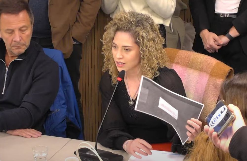 La diputada nacional Lourdes Arrieta será echada del bloque de La Libertad Avanza Foto: Captura Youtube Cámara de Diputados de la Nación.