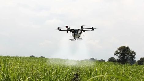 Los Andes | La inteligencia artifical puede convertirse en una herramienta fundamental para optimizar el agro mendocino.
