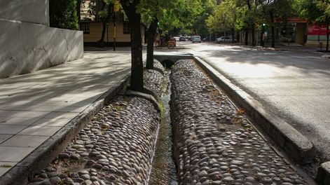 Son un patrimonio de Mendoza, pero nosotros últimamente las usamos para tirar nuestra basura