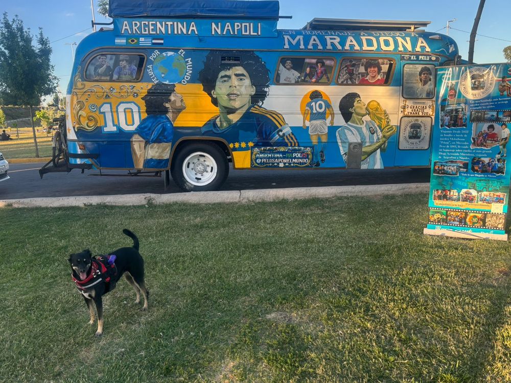 El micro de @pelusaporelmundo en Mendoza.