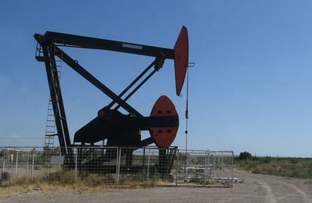 Con esta iniciativa se logró reactivar 160 pozos con 2 mil puestos de trabajo y nuevas perforaciones. / Foto: Andrés Larrovere  / Los Andes