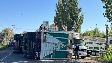 Los Andes | Volcó un camión con vacas en Maipú. Gentileza - Ministerio de Seguridad