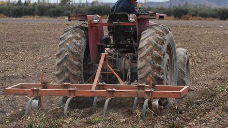 Hoy fue publicada en el Boletín Oficial la resolución que establece un pago extraordinario de $26 mil para los trabajadores rurales, que se suma al bono de $24 mil. Foto: Orlando Pelichotti /  Los Andes