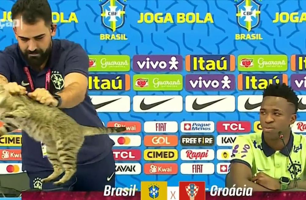 La maldición del gato que sufre Brasil desde Qatar 2022.