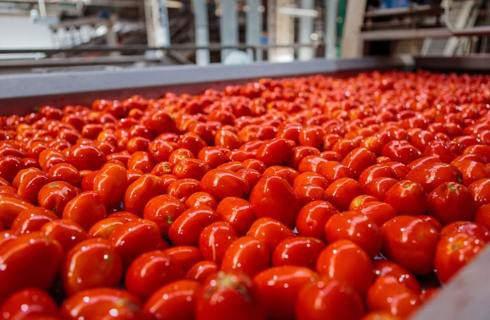 Producción brindará un ciclo gratuito de capacitación sobre herramientas para el registro de alimentos
