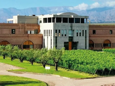 Investigan presunta administración fraudulenta en Bodega Monteviejo