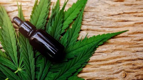 Los Andes | Es un proyecto abarcativo que pueda satisfacer principalmente la demanda y la necesidad que van a tener los privados, pero también las habilidades profesionales y técnicas del personal ligado a esta tarea, sostuvo María Virginia Coraglia.