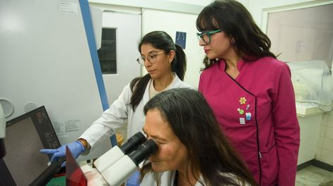 Los Andes | Equipo de investigación. las doctoras Mariángeles Ávila y a su lado, Antonella Losinno y en el microscopio, la doctora María Elena Teresa Damiani. Foto: Gentileza UNcuyo
