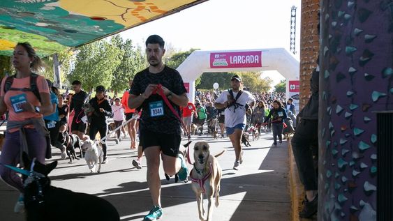 Este será el recorrido de la Maratón Animal 2023