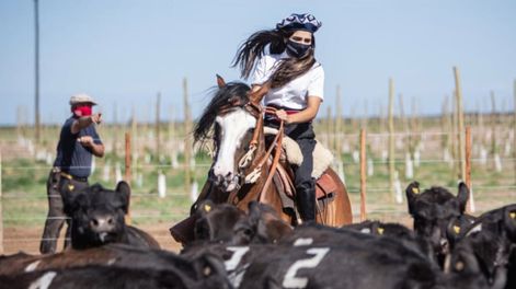 Las finales de caballos criollos se transmiten a través de Expoagro Digital