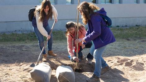 Se plantarán 30 árboles autóctonos en la Facultad de Educación de la UNCuyo.