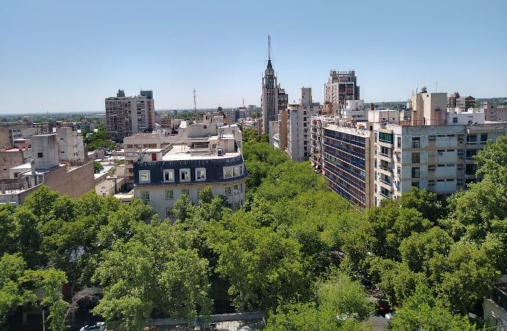 El arbolado, un premio y lo que sigue mal