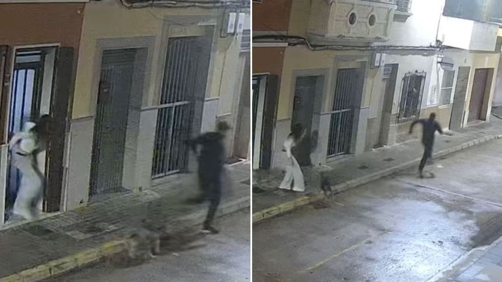 Un perro salvó a su dueña de ser secuestrada en su domicilio luego de morder al atacante.&nbsp;