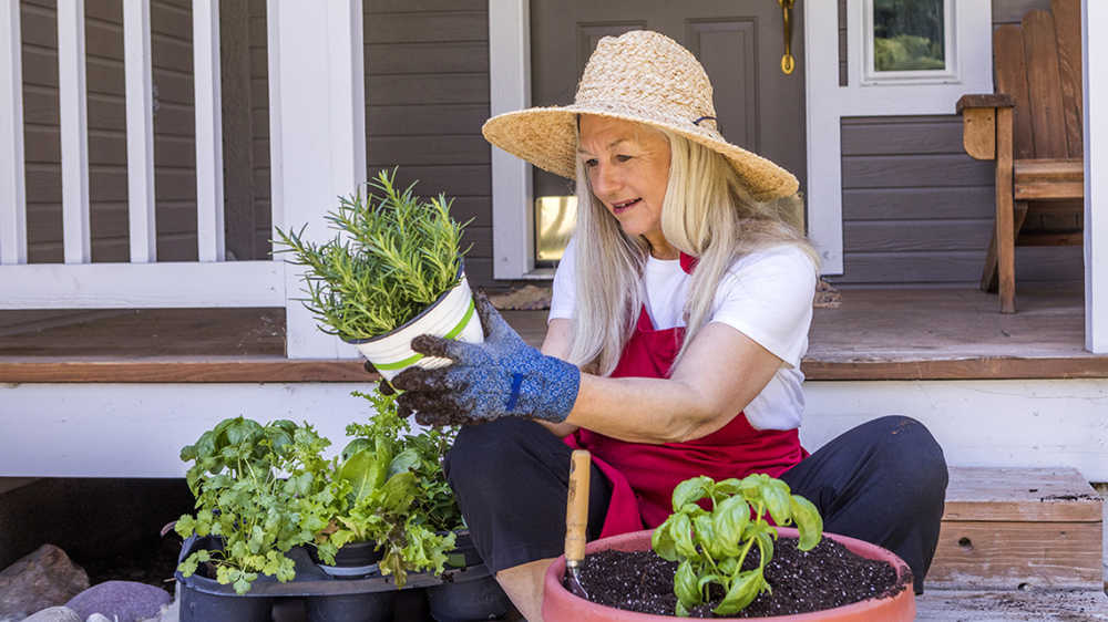 Un truco simple transforma tu jardín y mejora tus plantas con verdadera jardinería.