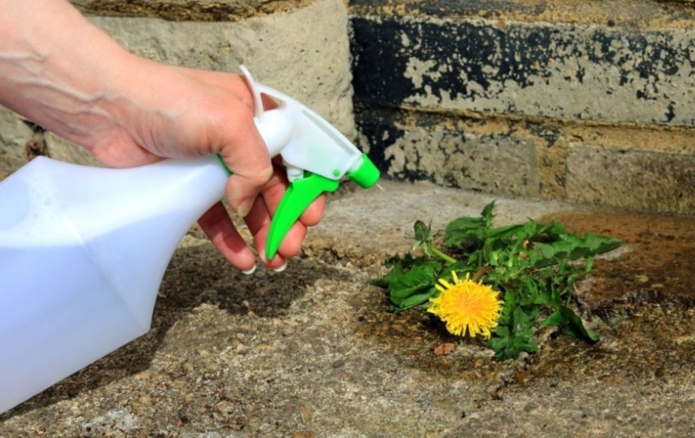 Es una alternativa práctica para mantener limpio de malezas el piso exterior.