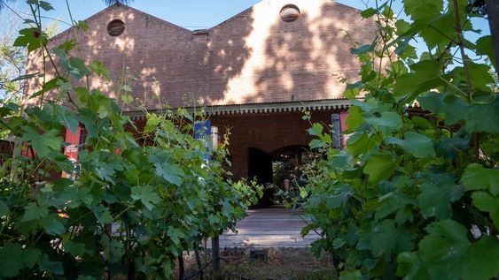 La quinta agronómica estaba ubicada donde hoy está la Enoteca y fue el lugar donde hace 80 años se recibían los primeros egresados de Ciencias Agrarias. Foto: Los Andes