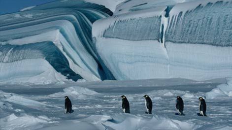 Rusia y China vetaron crear un santuario marino en la Antártida