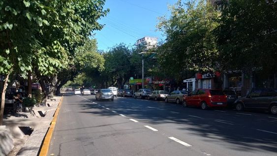 Informe de tránsito de la Ciudad de Mendoza