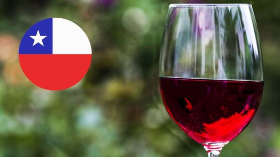 Las exportaciones de vino chileno muestran crecimiento en lo que va del 2024.