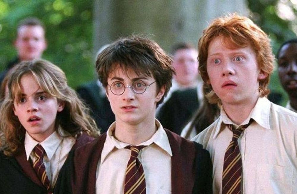 Harry Potter y su mundo mágico.