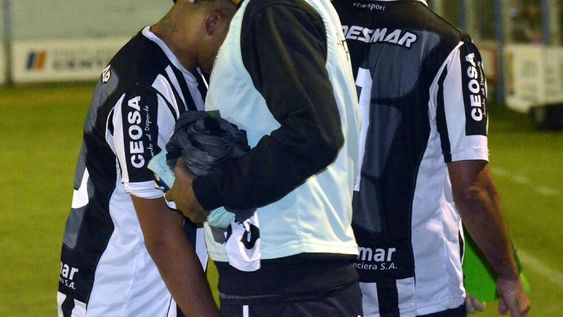 Lobo devastado