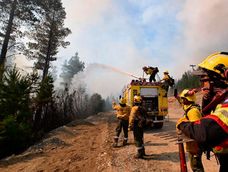 Incendios forestales, la columna vertebral de una reunión internacional en San Luis
