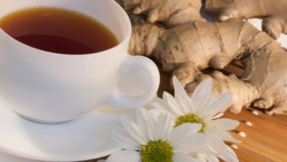 El té se produce infusionando las hojas tiernas y los brotes de las hojas de la planta del té, Camellia sinensis, en agua hervida. | Imagen ilustrativa / Web