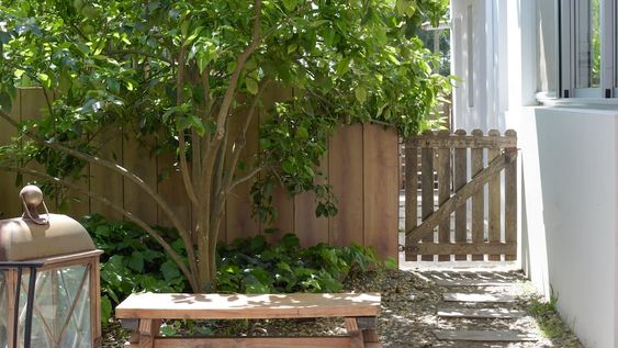 Nueva tendencia en interiorismo: la madera como hilo conductor de la deco del hogar
