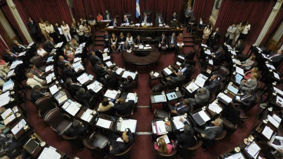 Bajo la conducción de José Mayans y Anabel Fernández Sagasti, el bloque de senadores oficialistas aprobó en tiempo récord todos los proyectos que se propuso.