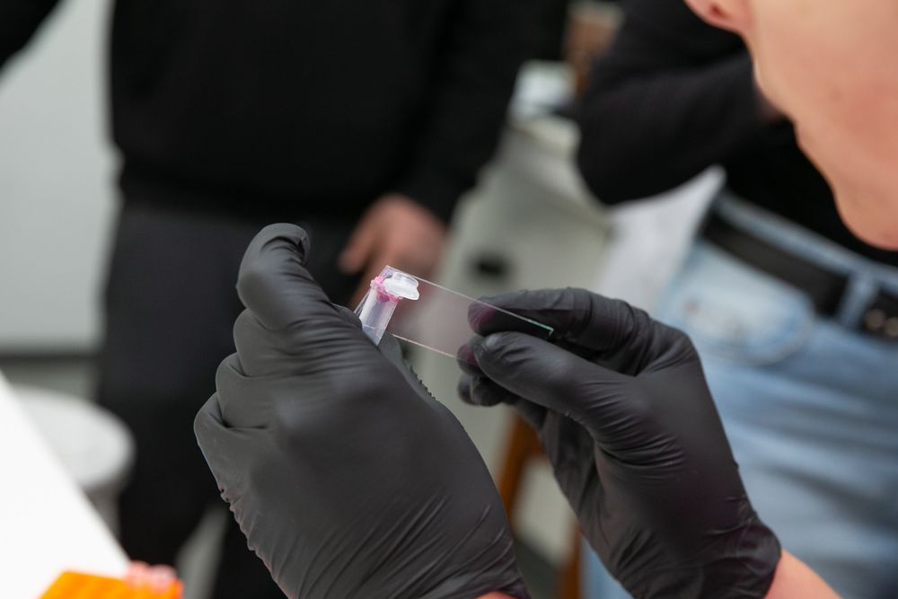 Ein Wissenschaftsprojekt der UNCuyo erhält 330.000 US-Dollar von der Zuckerberg Foundation: Wie das Geld investiert wird. Foto: Mit freundlicher Genehmigung der UNCuyo