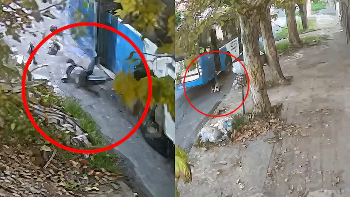 Terror en la calle: un niño de cinco años fue arrastrado una cuadra por un colectivo