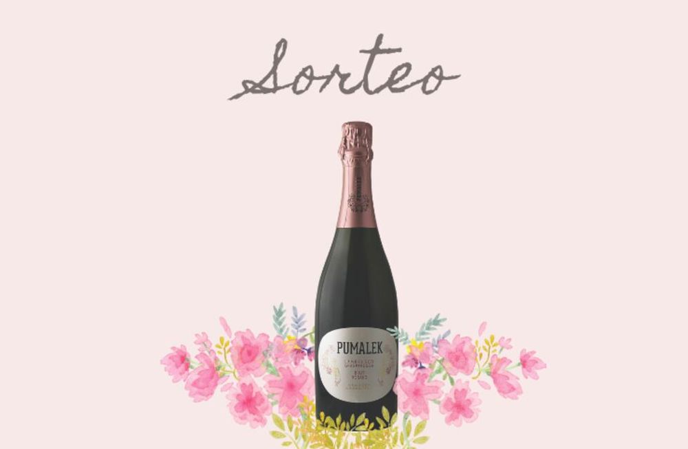 ¿Te gusta el espumante? Ganate una caja de Pumalek Brut Rosado