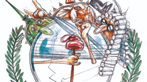 La Corte genera desequilibrios - Por Rodolfo Cavagnaro